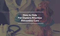 How to Help Pet Owners Prioritize Preventive Care